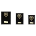 Cobra Plaque Golf Nearest the Pin Award
