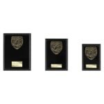 Cobra Plaque Music Award