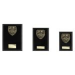 Cobra Plaque Motorsport Piston Award