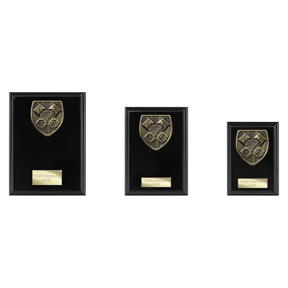 PL24224.jpg Cobra Plaque Motorsport Piston Award - Image 1