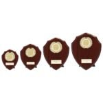 Reward Wreath Shield Cracked Cherry