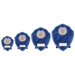 Reward Wreath Shield Azure Blue