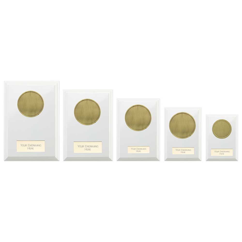 PL24574.jpg Reward Matrix Plaque Arctic White - Image 1