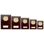 Reward Wreath Plaque Cracked Cherry