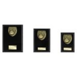 Cobra Plaque Netball Award