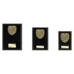 Cobra Plaque Cycling Award