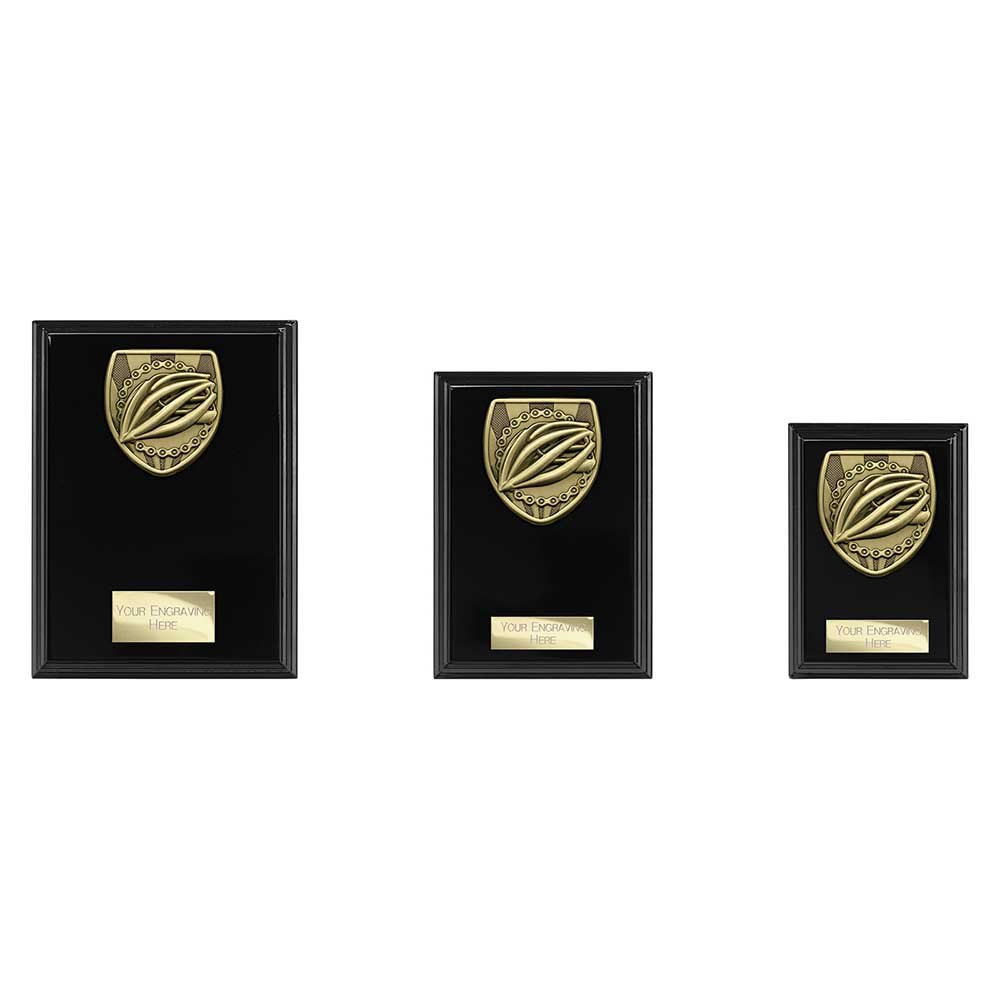 PL25139.jpg Cobra Plaque Cycling Award - Image 1