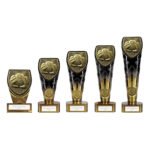 Fusion Cobra Goal Keeper Award