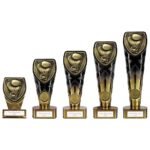 Fusion Cobra Boxing Award