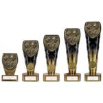 Fusion Cobra Motorsport Award