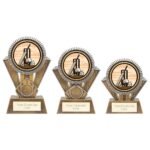 Apex Cricket Award Gold & Silver