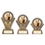 Apex Netball Award Gold & Silver