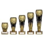 Fusion Cobra Cards Award