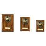 Cobra Plaque Cricket Award Walnut