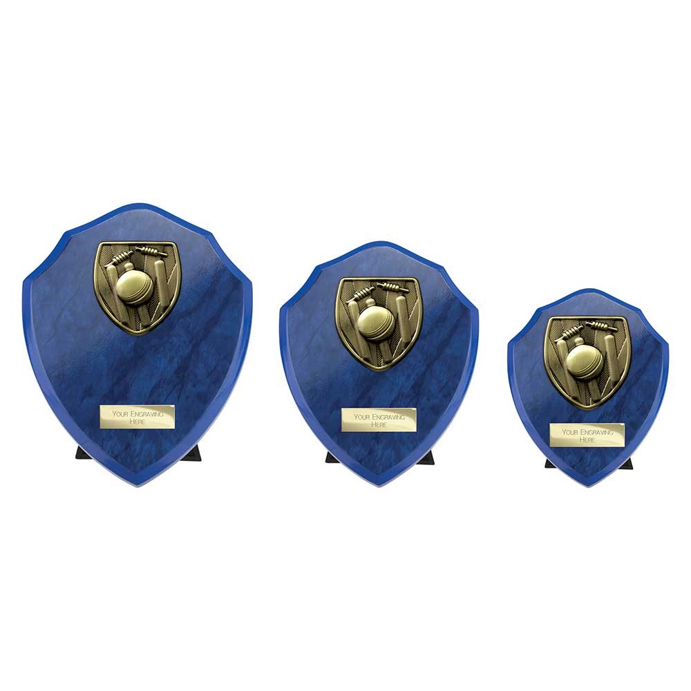 PS24209.jpg Cobra Shield Cricket Award Azure Blue - Image 1