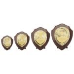 Reward Shield & Front Cracked Cherry & Gold