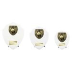 Cobra Shield Cricket Award Arctic White