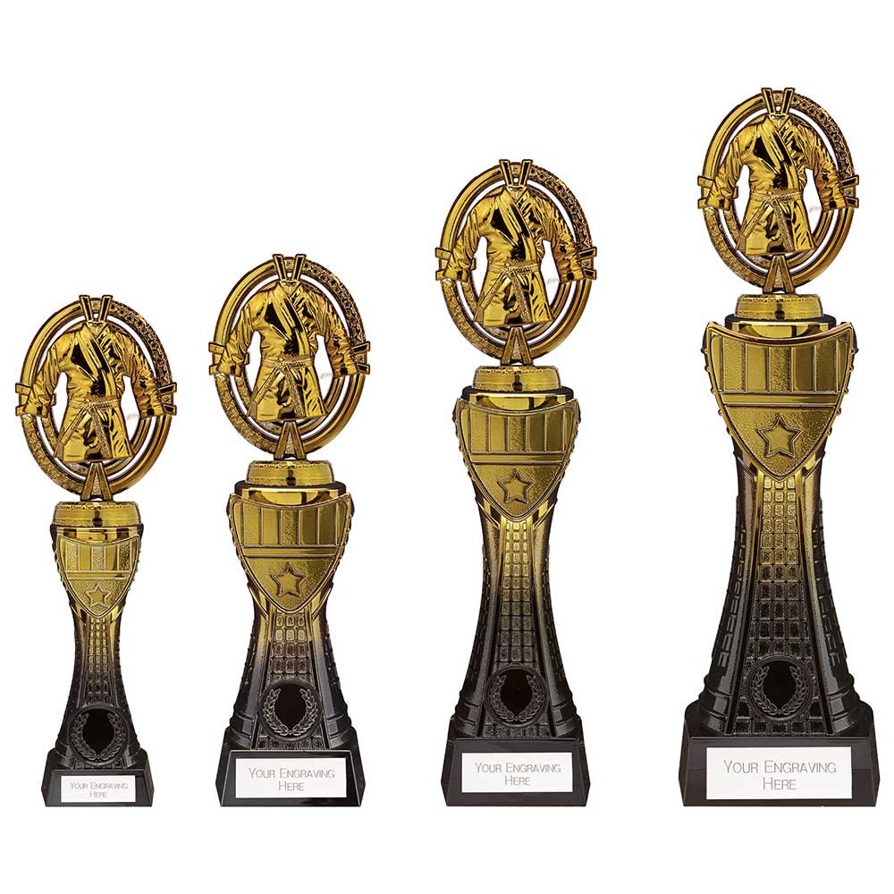 PV24115.jpg Maverick Heavyweight Martial Arts Award - Image 1