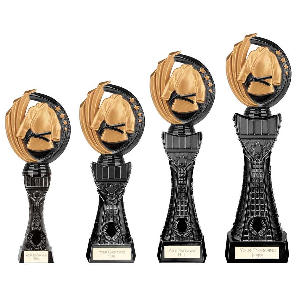 PX22442.jpg Renegade Heavyweight Martial Arts Award - Image 1