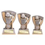 Optimum Netball Resin Award