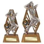 Immense Cricket Bowler Award