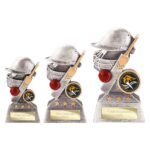 Smash Cricket Award