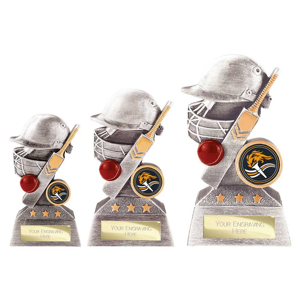 RF26069.jpg Smash Cricket Award - Image 1