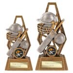 Immense Cricket Award