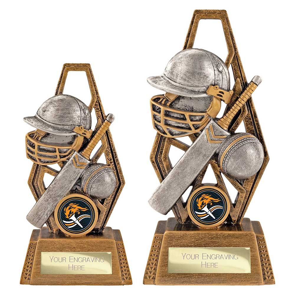 RF26103.jpg Immense Cricket Award - Image 1