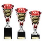 Cobra Star Cup Rugby Shirt & Ball Silver & Red