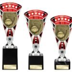 Cobra Star Cup Netball Silver & Red