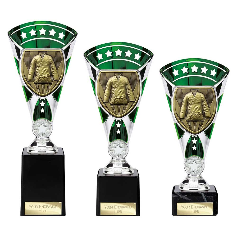 TE24201.jpg Cobra Star Cup Martial Arts Gee Silver & Green - Image 1