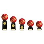 Valiant Legend Cricket Award