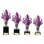 5 Star Trophy Purple and Silver