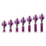 5 Star Multisport Tube Trophy Purple and Silver