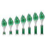 Wildfire Multisport Tube Trophy Green and Silver