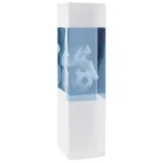 Arctic Blast Football Crystal Award 190mm  (50mm Width)