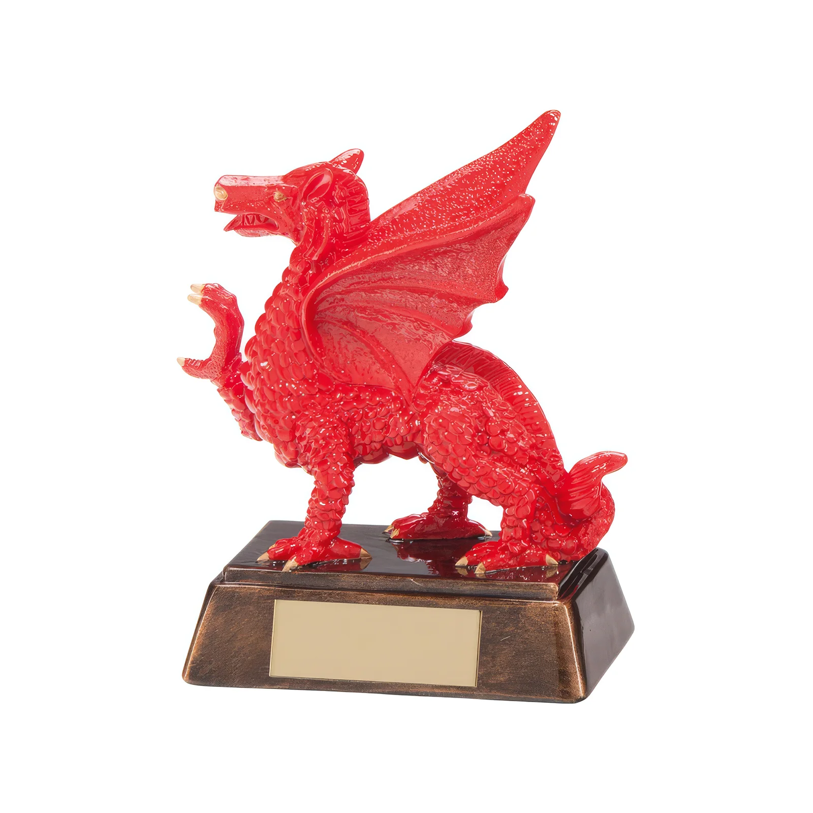 RF17060A.webp Celtic Dragon Award 135mm - Image 1