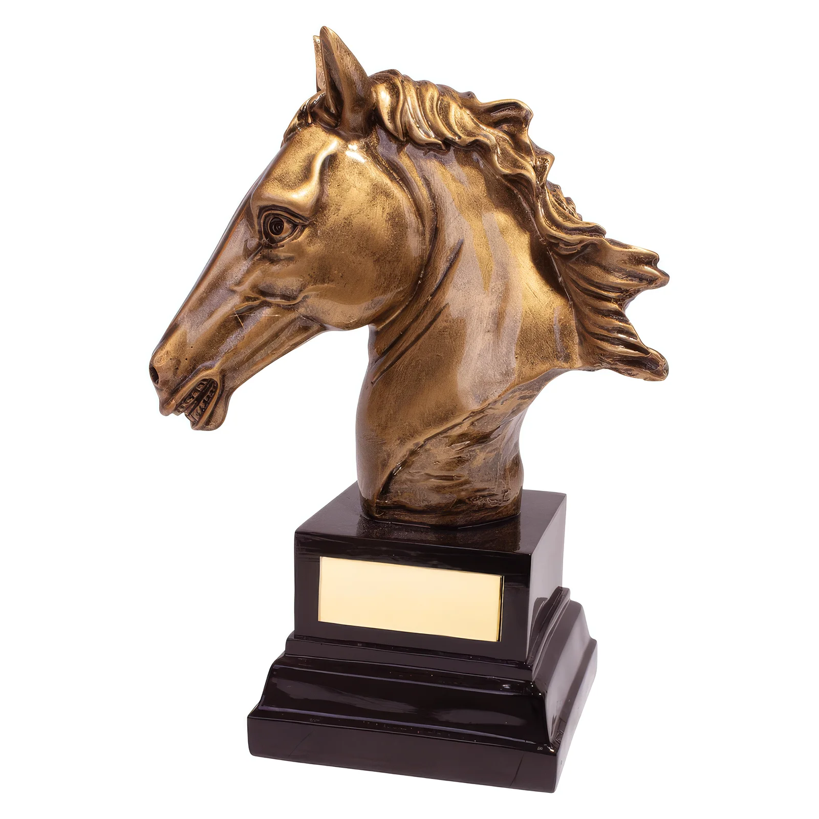 RF19140A.webp Belmont Equestrian Award 170mm - Image 1