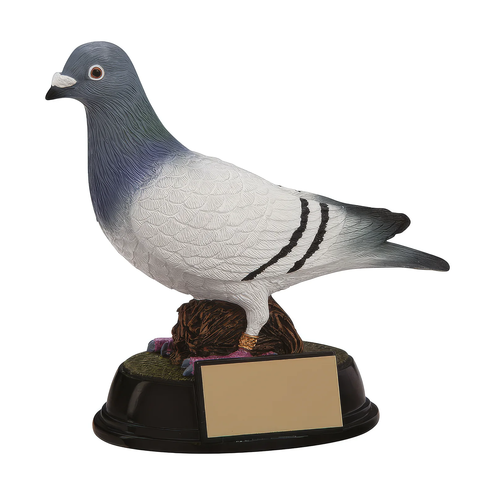 RF4157A.webp Elite Pigeon Racing Award 145mm - Image 1